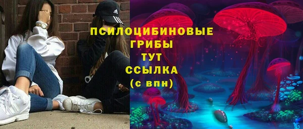 гидропоника Красноперекопск
