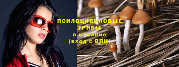 тгк Абаза