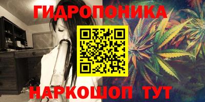 apvp Лесосибирск