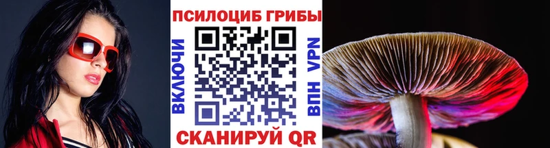 Псилоцибиновые грибы Psilocybe  Химки 