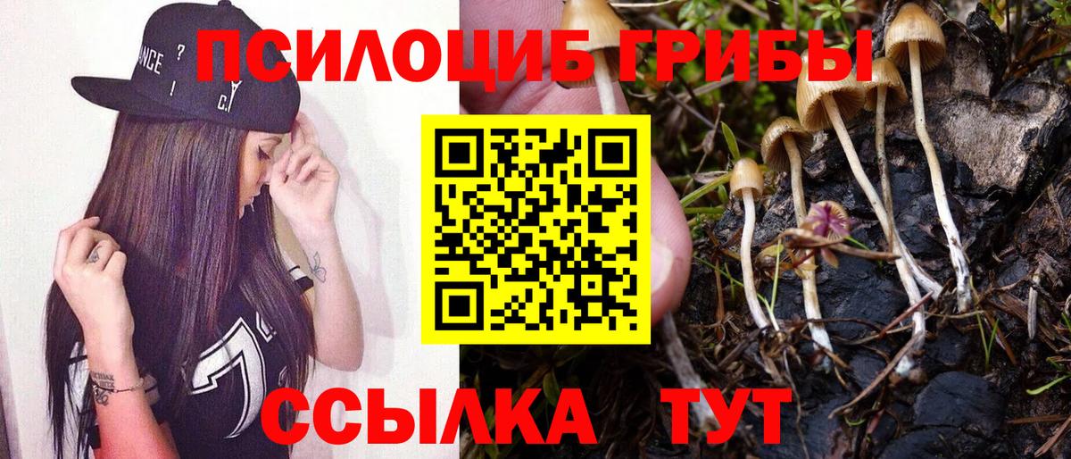 Галлюциногенные грибы мицелий  Вход с VPN  Химки  Галлюциногенные грибы прущие грибы 