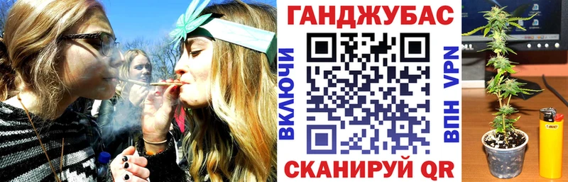 Шишки марихуана сатива Химки